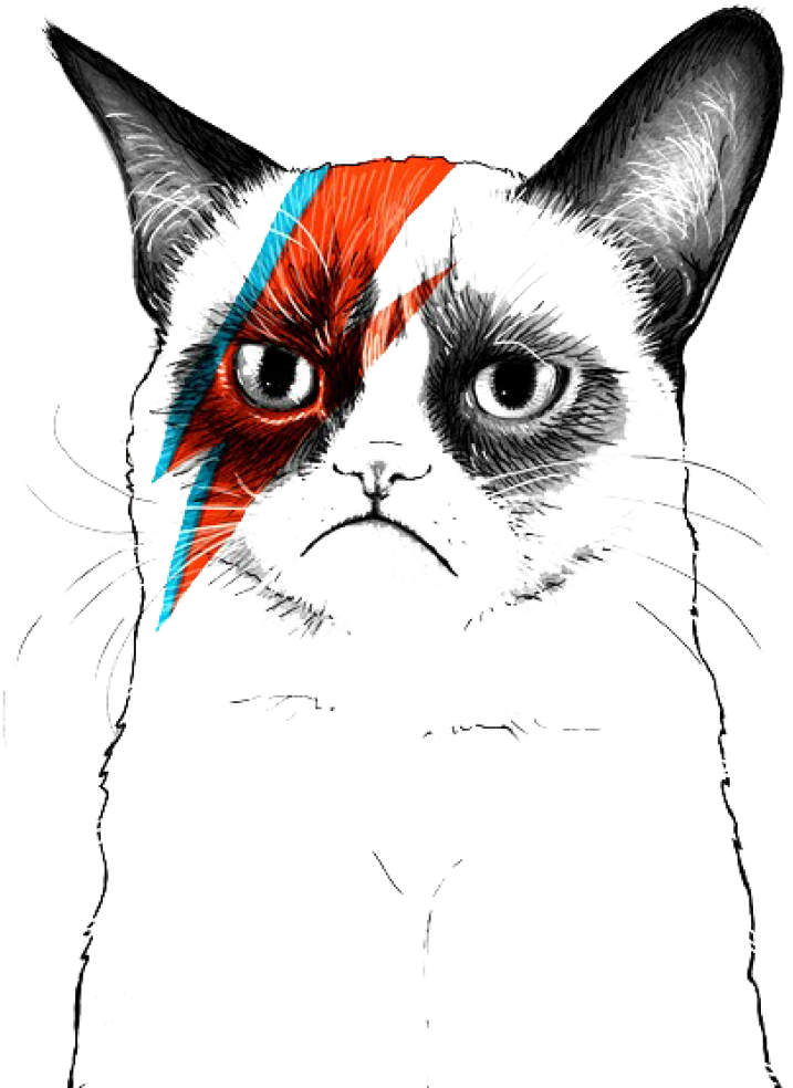 Grumpy Cat Musician Artist - Grumpy Cat Coloring Sheet Clipart (800x1060), Png Download