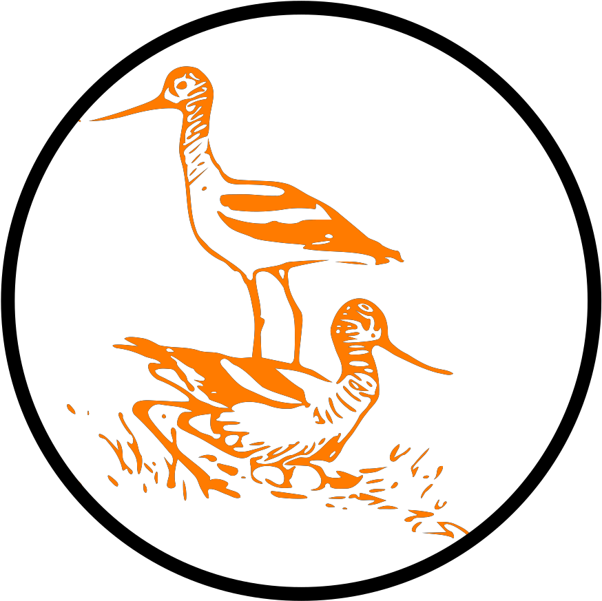 Clip Art - Png Download (1600x1600), Png Download