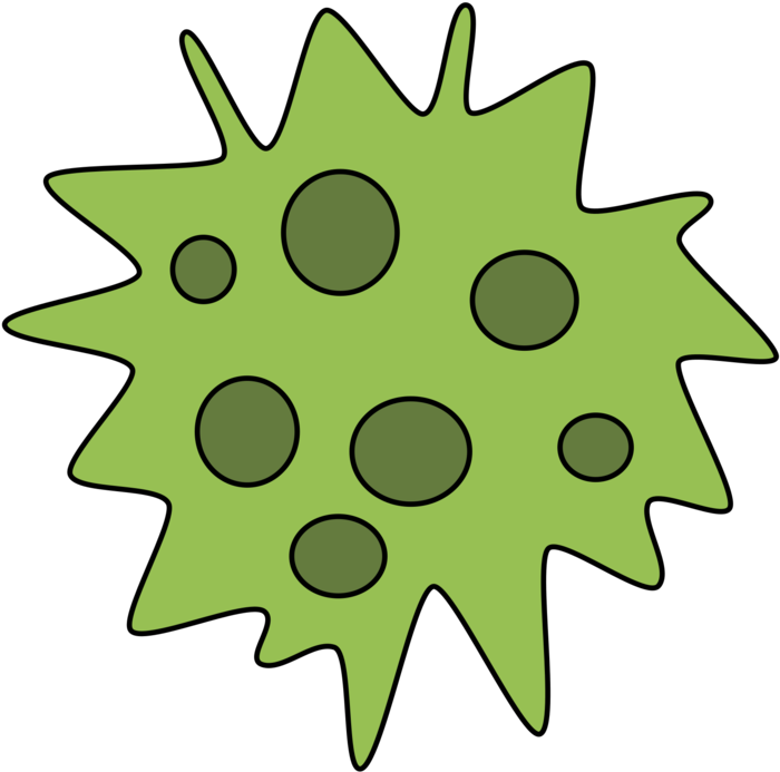 Flora,leaf,symmetry - Clip Art - Png Download (1000x750), Png Download