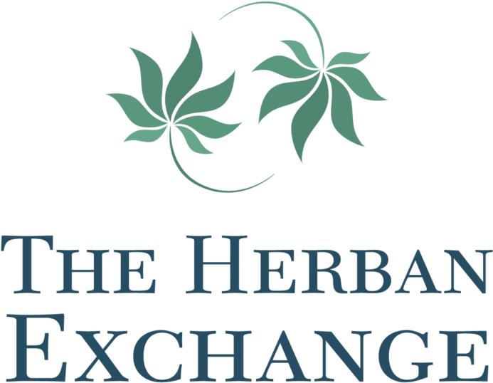 Clip Art - Png Download (768x610), Png Download