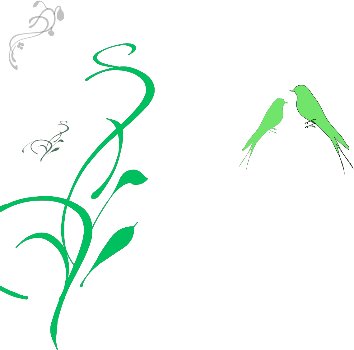 Vine Clip Art - Png Download (1600x1600), Png Download