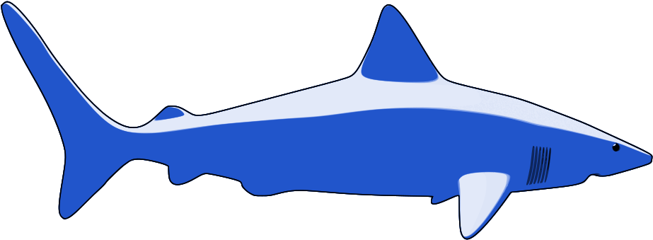 Tiburon - Sea Animals Png Clipart (1000x475), Png Download