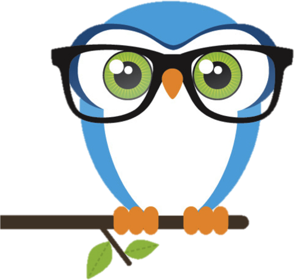 Birds With Nerd Glasses Clipart (1020x1020), Png Download