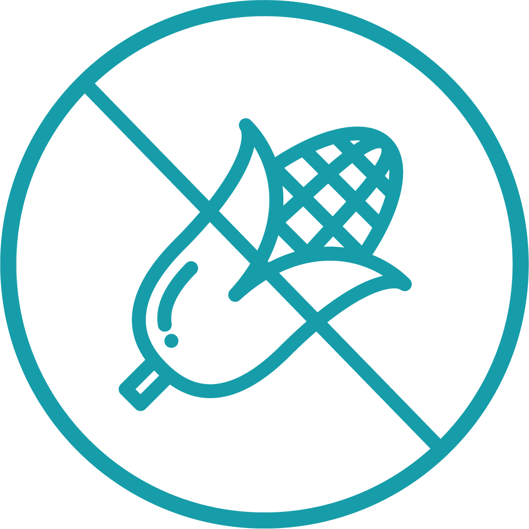 Imagem De Relogio Sem Fundo Clipart (1051x1051), Png Download