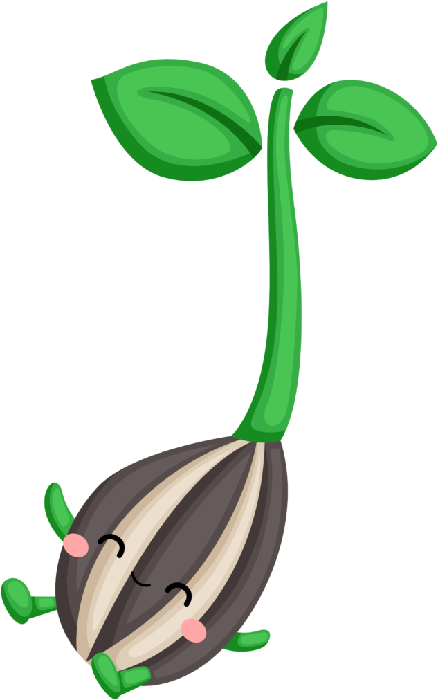 Clip Art - Png Download (1024x1024), Png Download