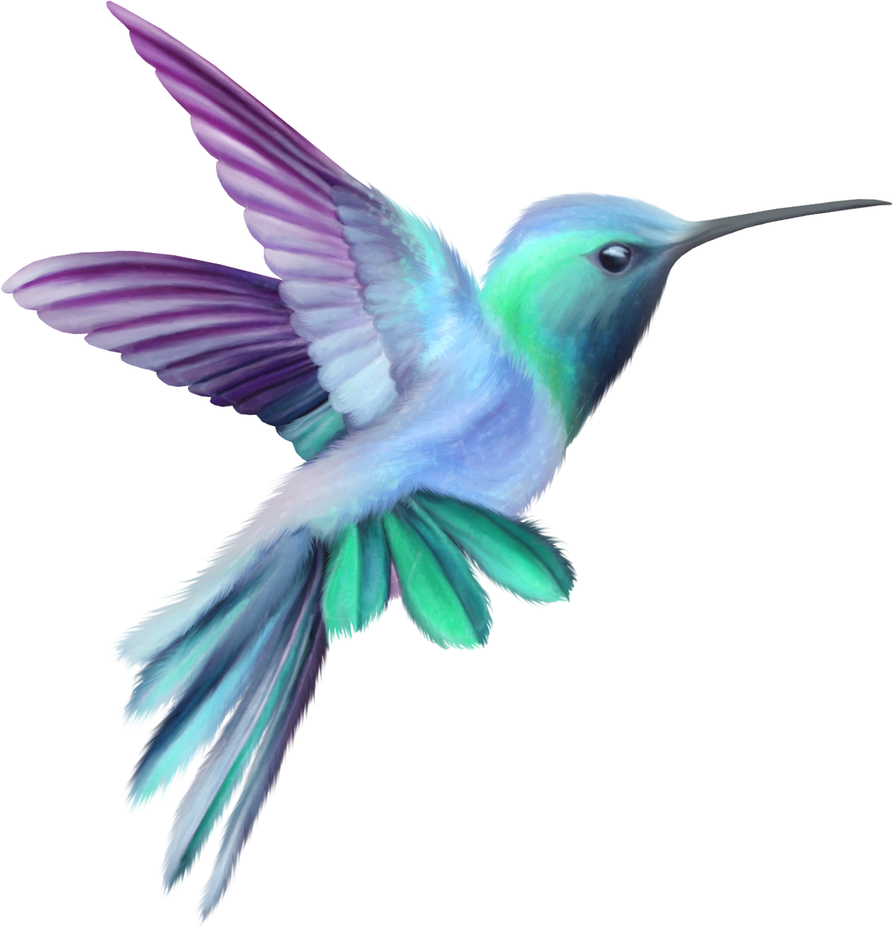 Hummingbird Clipart - Clipart Best - Hummingbird Pink And Purple - Png