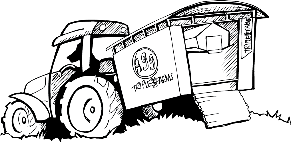 Clip Art - Png Download (1019x500), Png Download