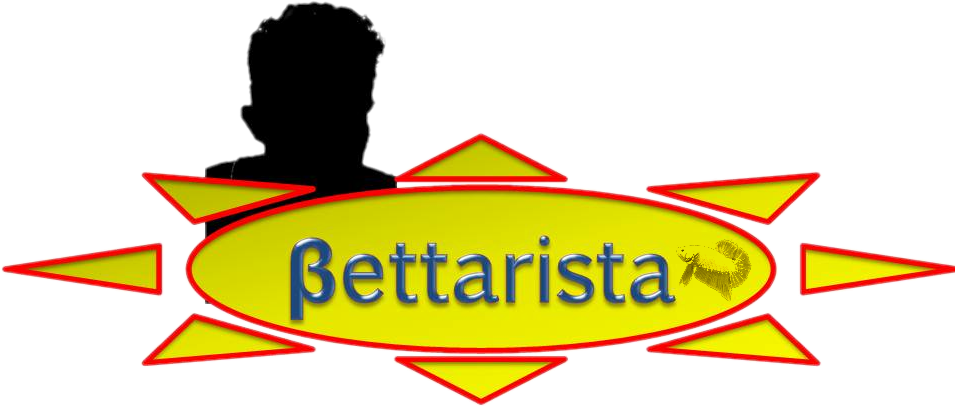 Βettarista’s Fish Room Clipart (955x406), Png Download