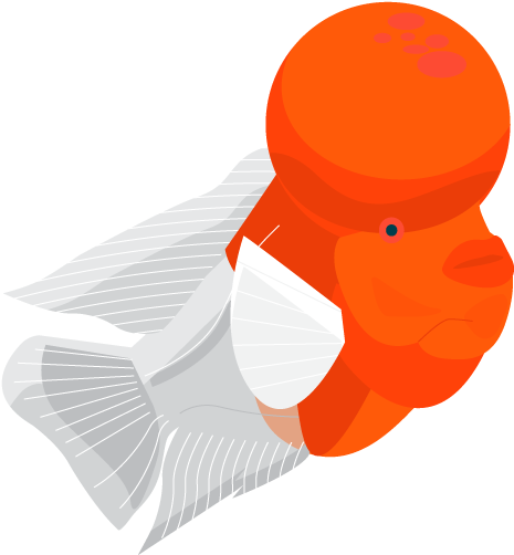 Illustration Clipart (800x540), Png Download