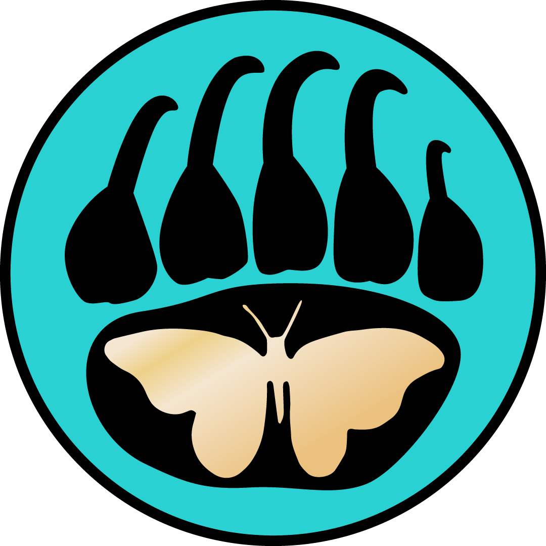 Cosmic Butterflies [and A Bear] Clipart (1080x1080), Png Download