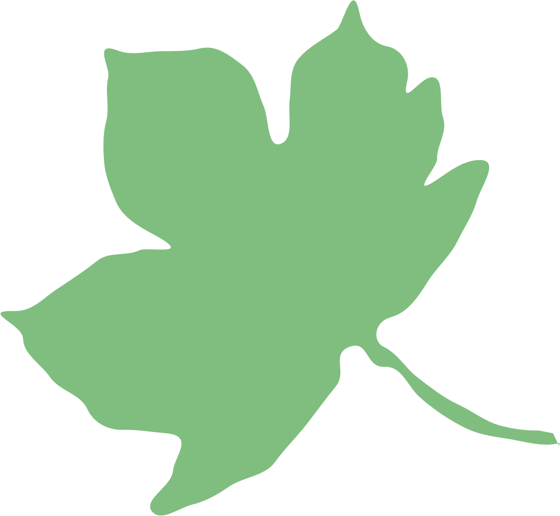 Forest School Handbook Clipart (1121x1034), Png Download