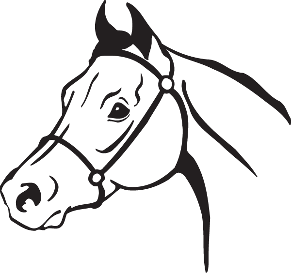 Clip Art American Quarter Horse Openclipart Arabian - Simple Horse Head Clip Art - Png Download (600x564), Png Download