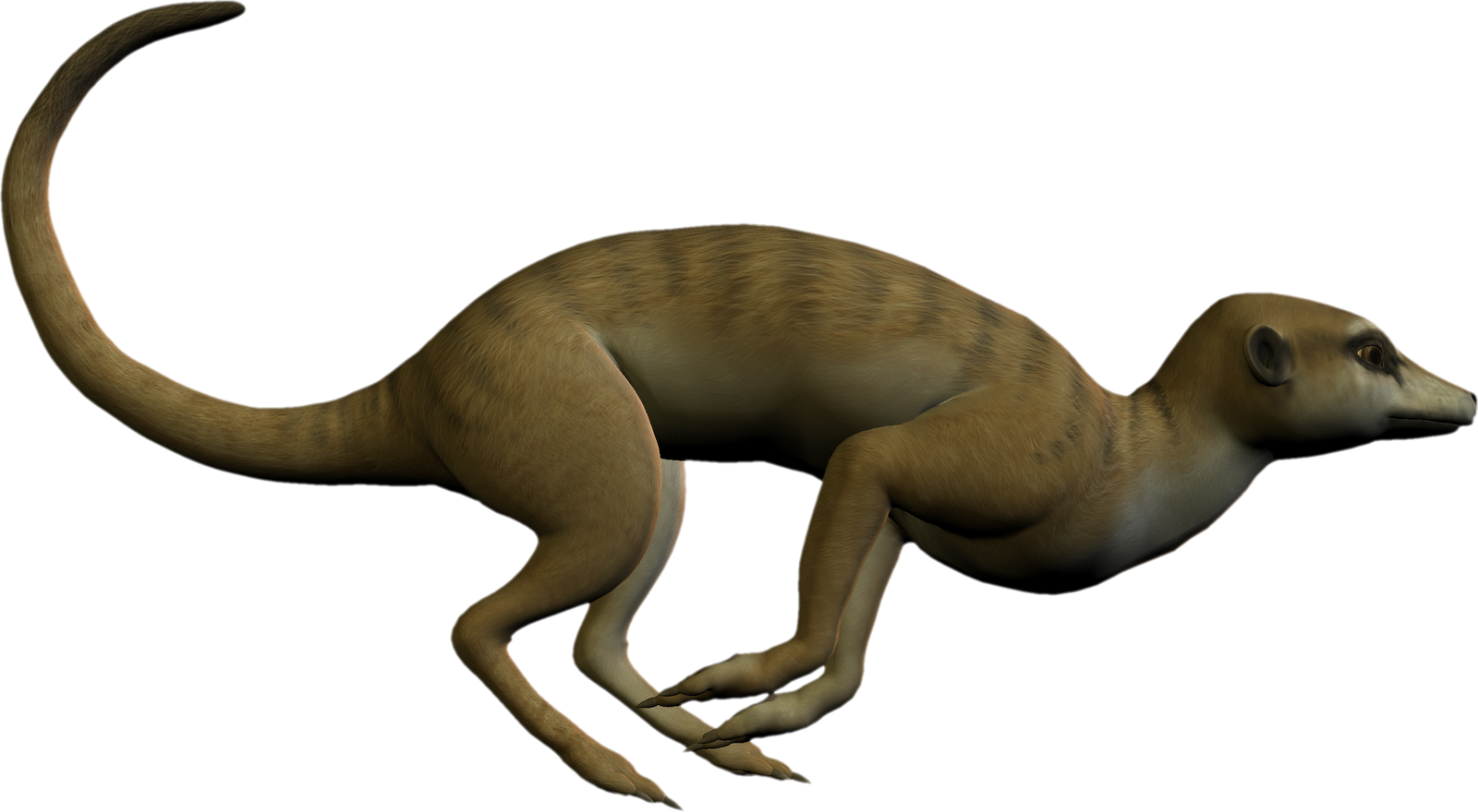 Free High Resolution Graphics And Clip Art - Clip Art - Png Download (1600x880), Png Download