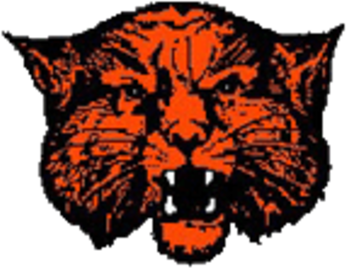 Mustang Clipart Fort Hancock - Wink Wildcat Mascot - Png Download (720x590), Png Download