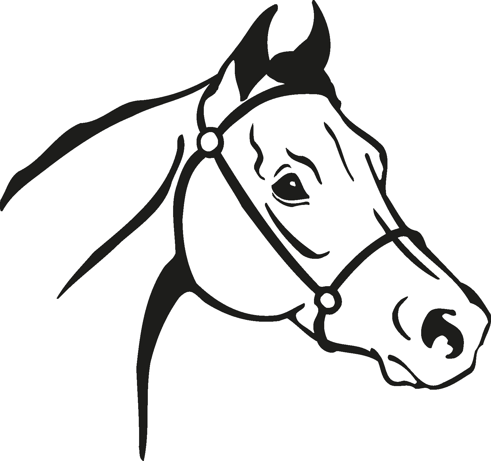 Arabian Horse Mustang Clip Art Vector Graphics Stallion - Arabian Horse Silhouette Transparent - Png Download (1631x1532), Png Download