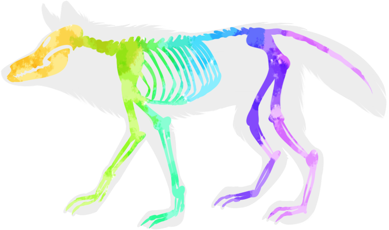 Velociraptor Character Animal Fiction - Bones Of A Wolf Clipart (900x600), Png Download