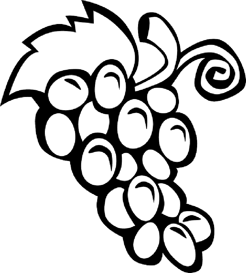 Black, Simple, Food, Fruit, Wine, Grapes, Outline - Black And White Clipart Of Grapes - Png Download (800x887), Png Download