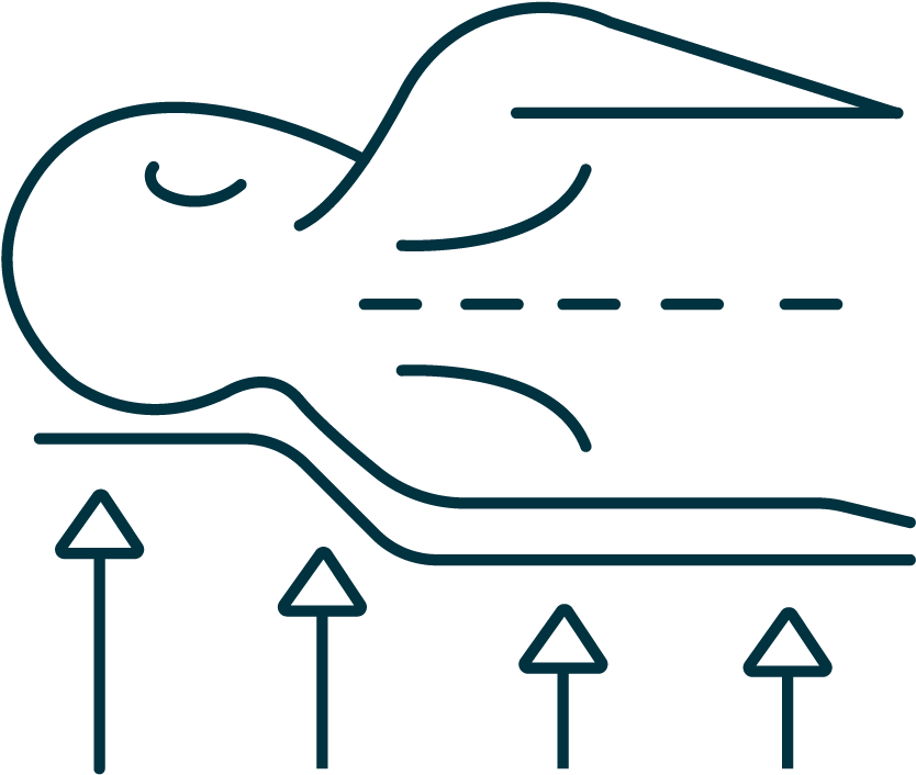 Health Clipart (1001x1001), Png Download