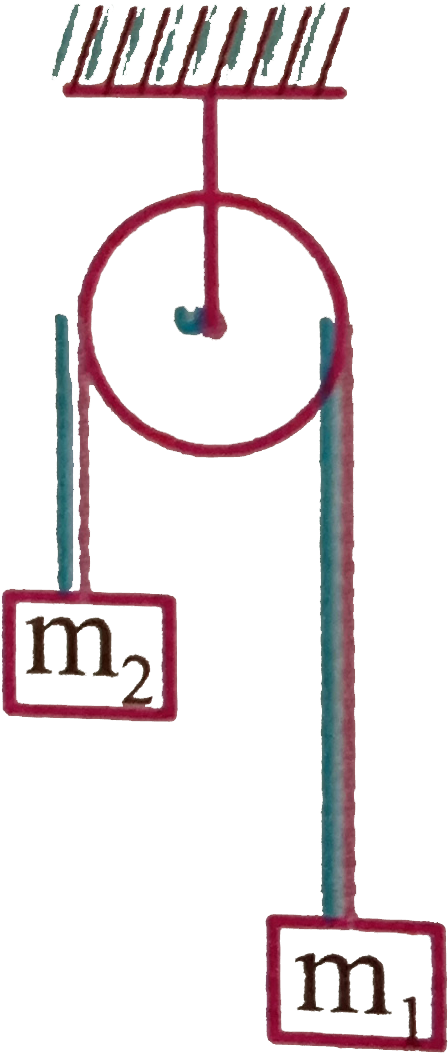 Clip Art - Png Download (682x1115), Png Download