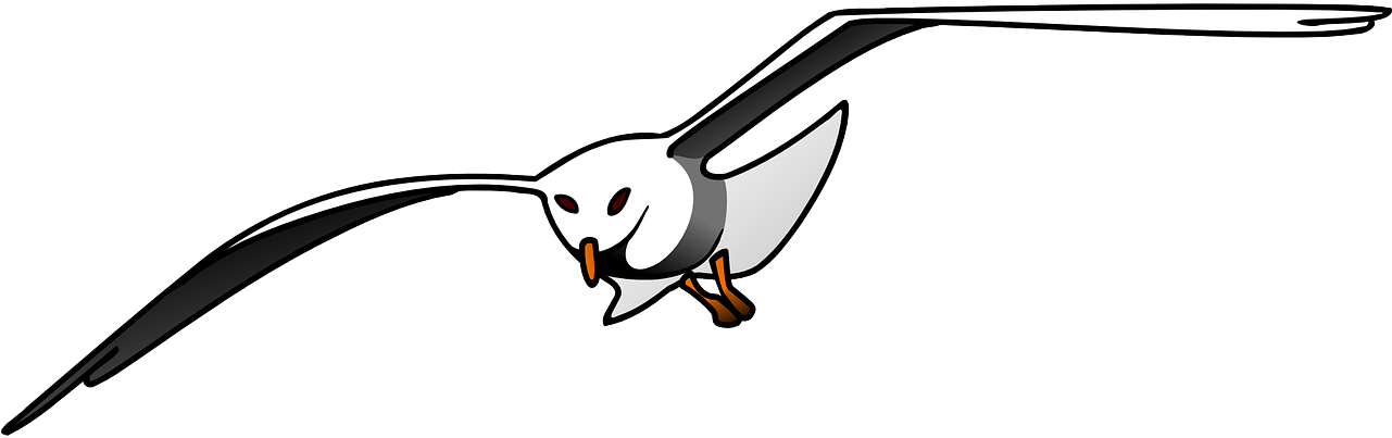 Bird Seagull Flying Free Photo - Cute Seagull Clipart Black And White - Png Download (1280x640), Png Download