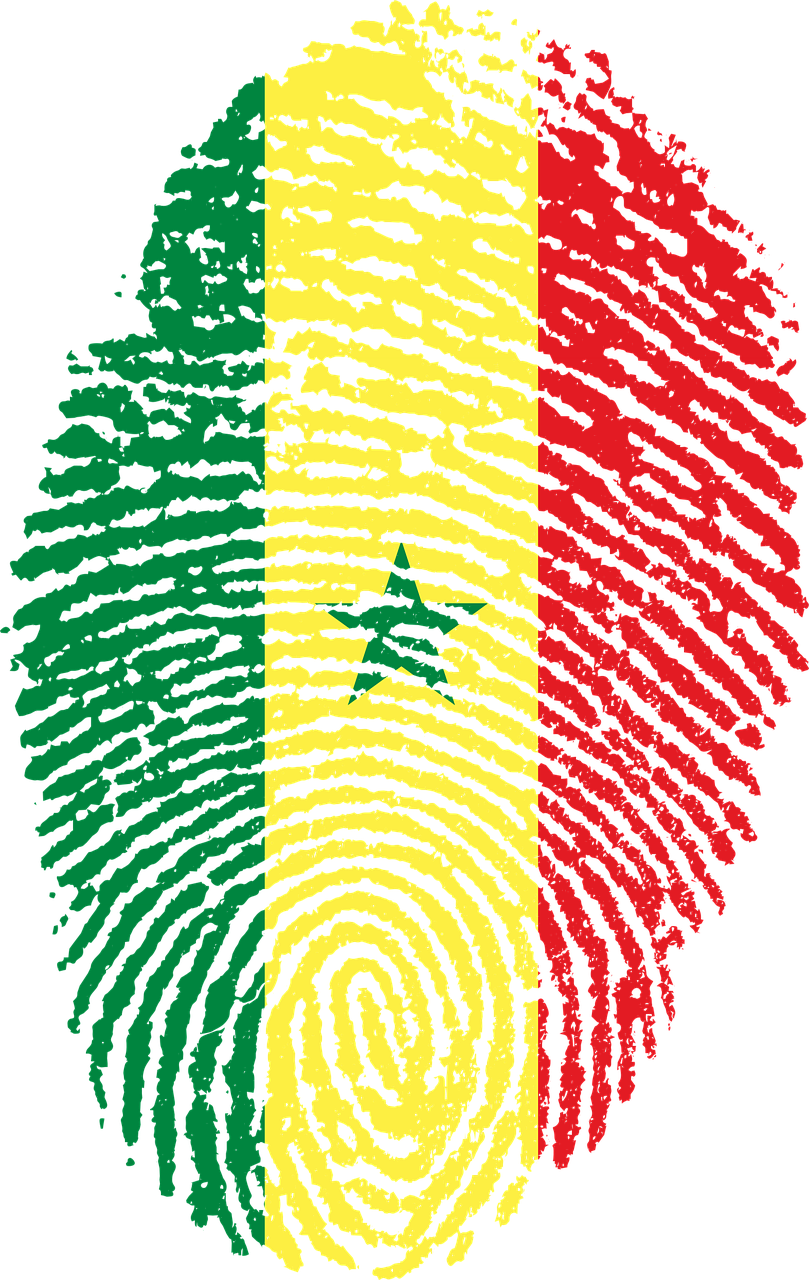 Peru Bandera Huella Digital Clipart (809x1280), Png Download