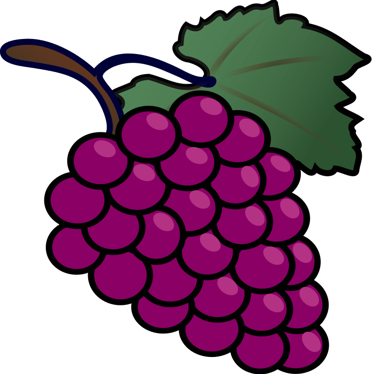Tux Paint Grapes - Grapes Drawing Clipart (764x768), Png Download