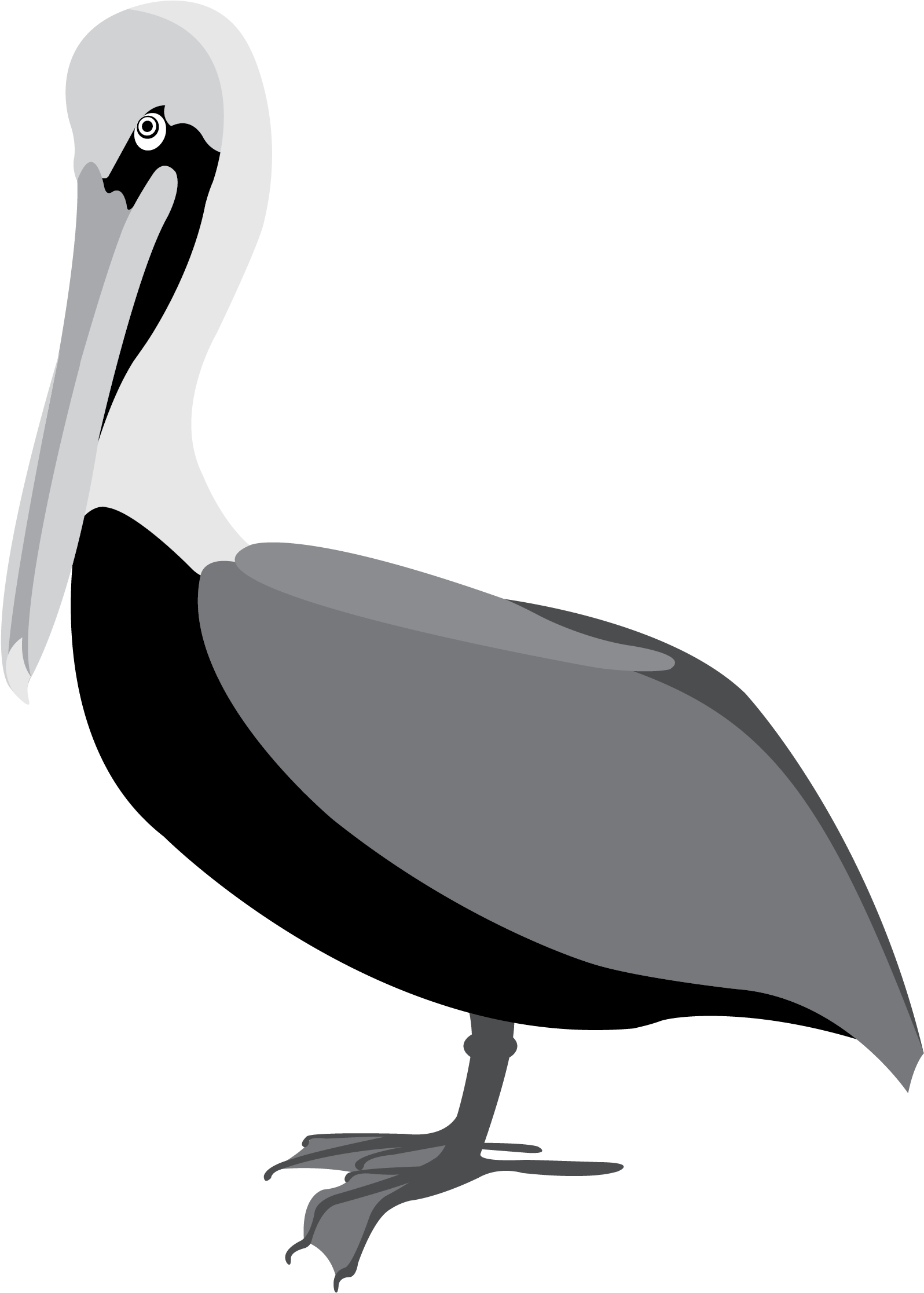 Black And White Pelican Vector Clip Art - Pelicans Vector Png Transparent Png (2178x2466), Png Download