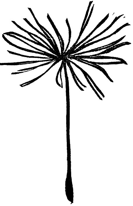 Clip Art - Png Download (456x704), Png Download