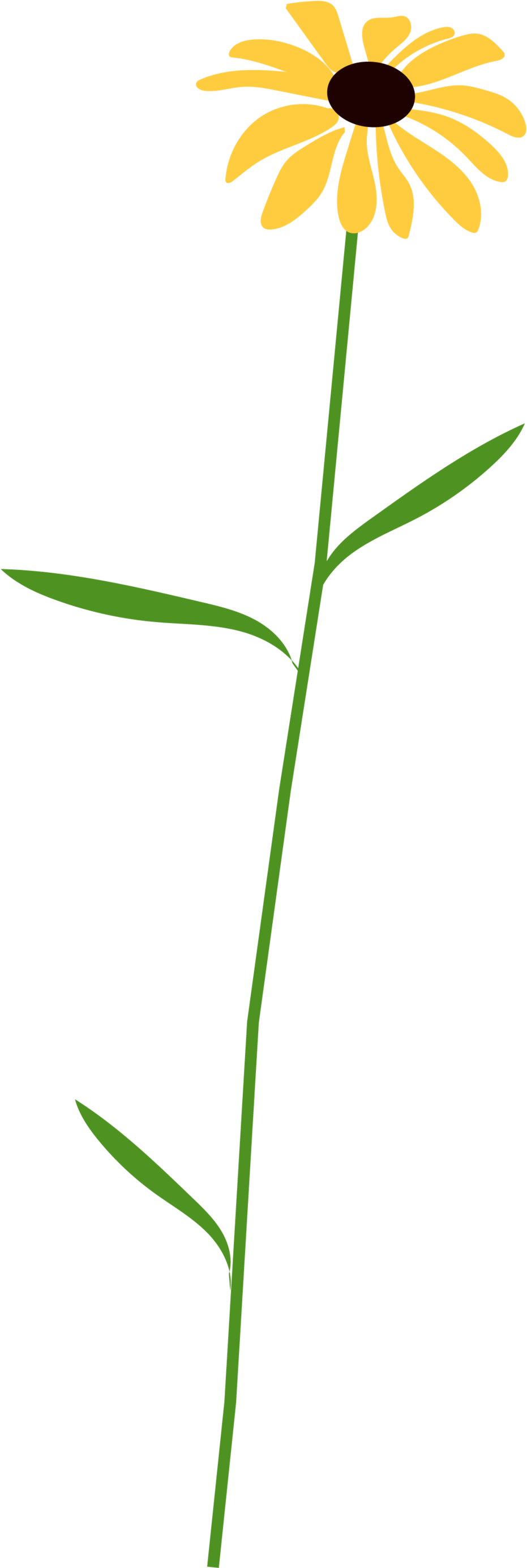 Flower 4 Clipart (1000x2767), Png Download