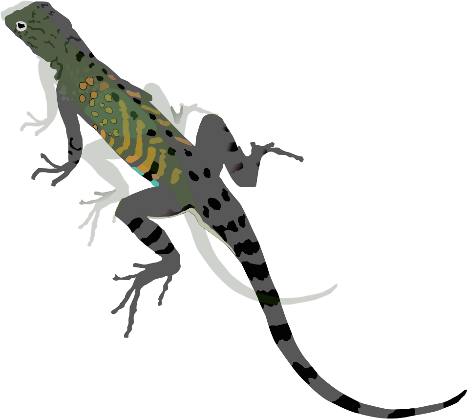 Green Black Lizard Svg Clip Arts - Lizard Clipart - Png Download (1024x1024), Png Download