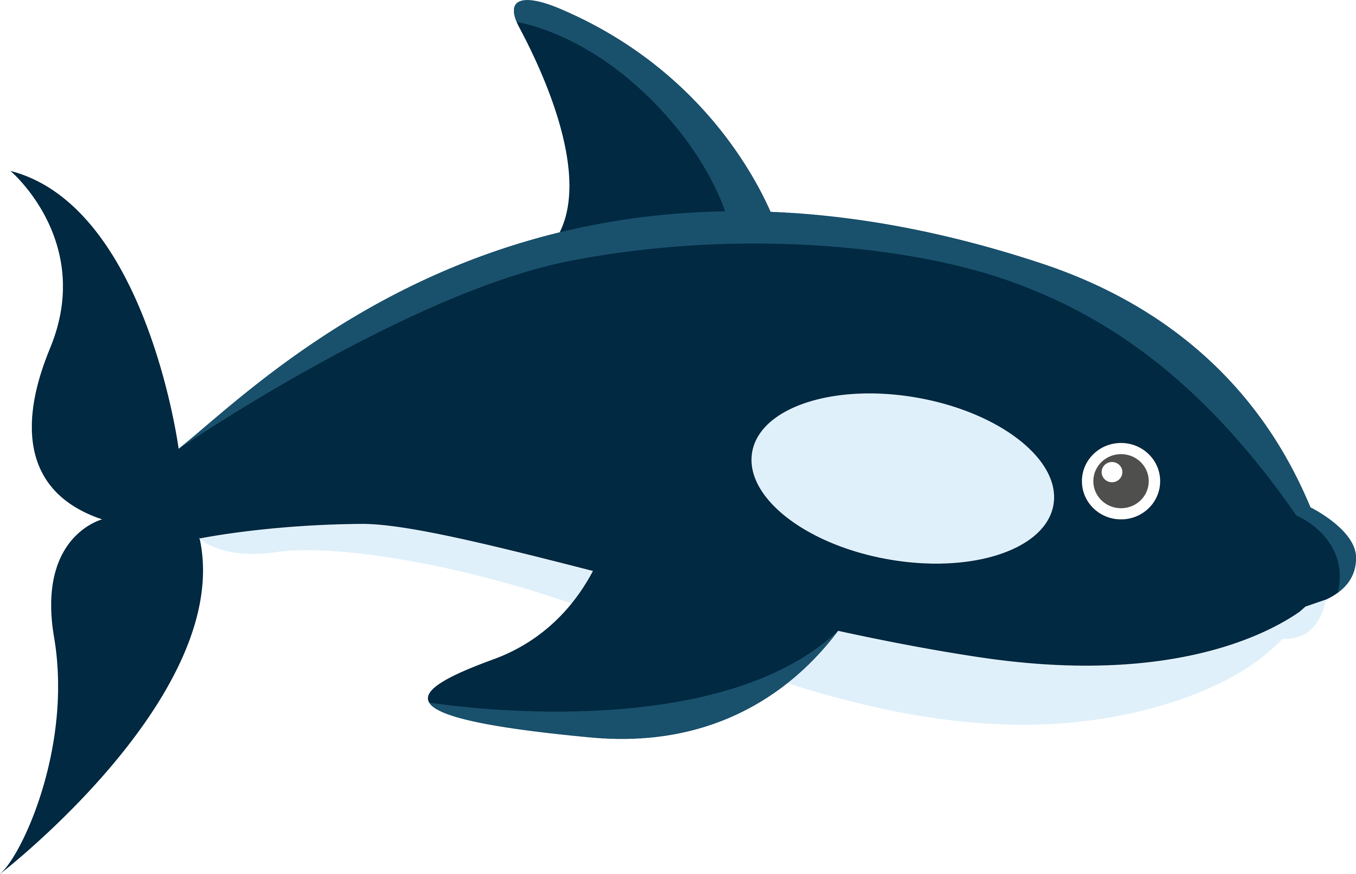 Transparent Whale Marine Biology - Imagenes De Ballenas Animadas Clipart (4343x2799), Png Download