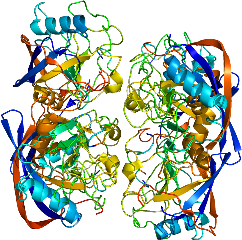 Protein Ppic Pdb 2esl Clipart (863x858), Png Download