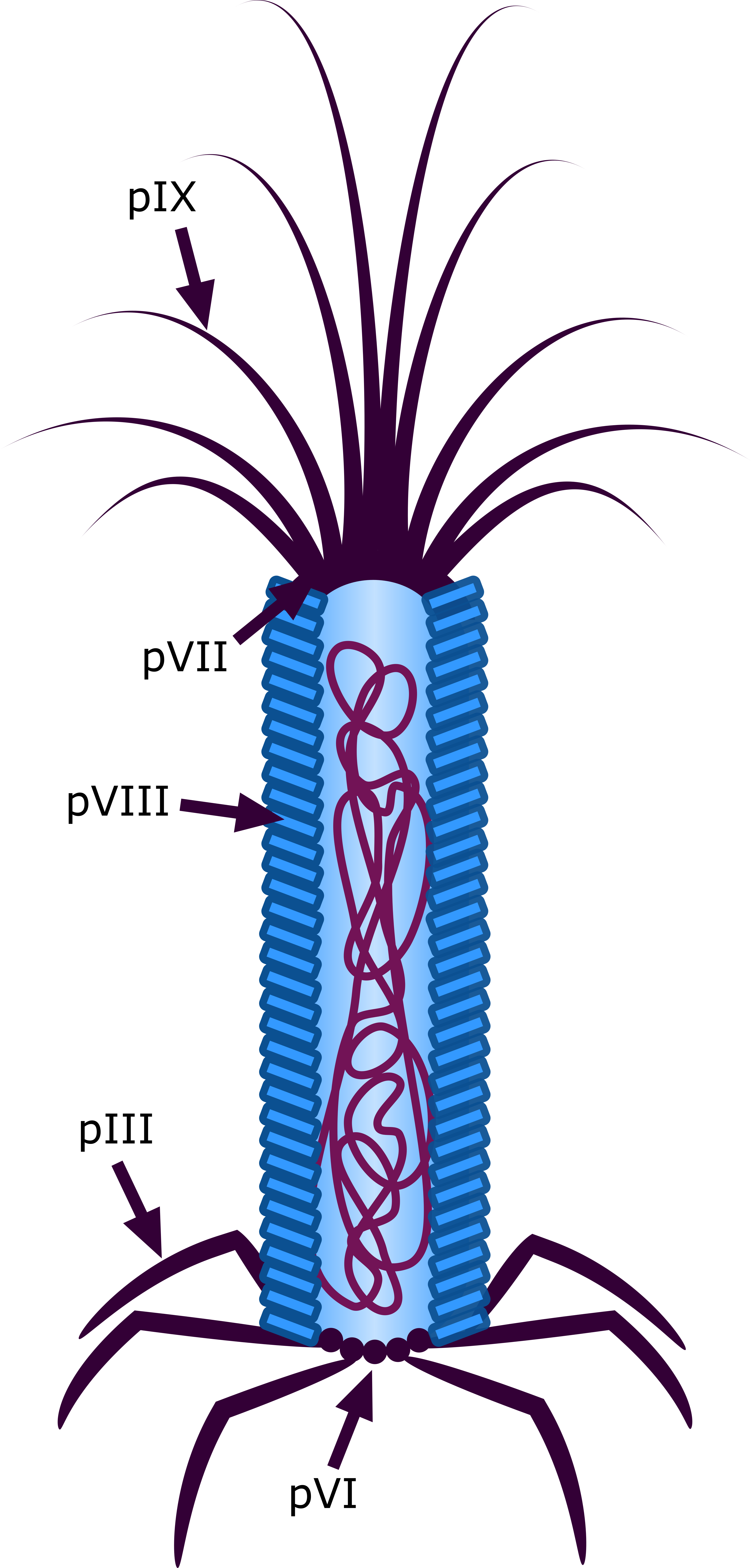 Clip Art - Png Download (3514x7324), Png Download