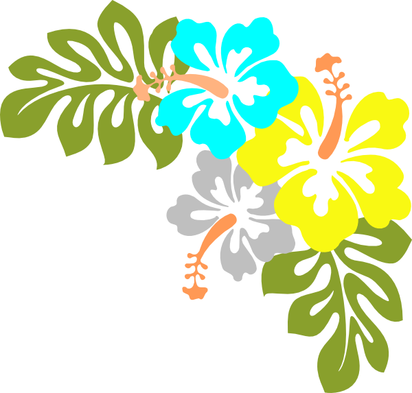 Hawaiian Flowers Transparent Background Clipart (600x573), Png Download