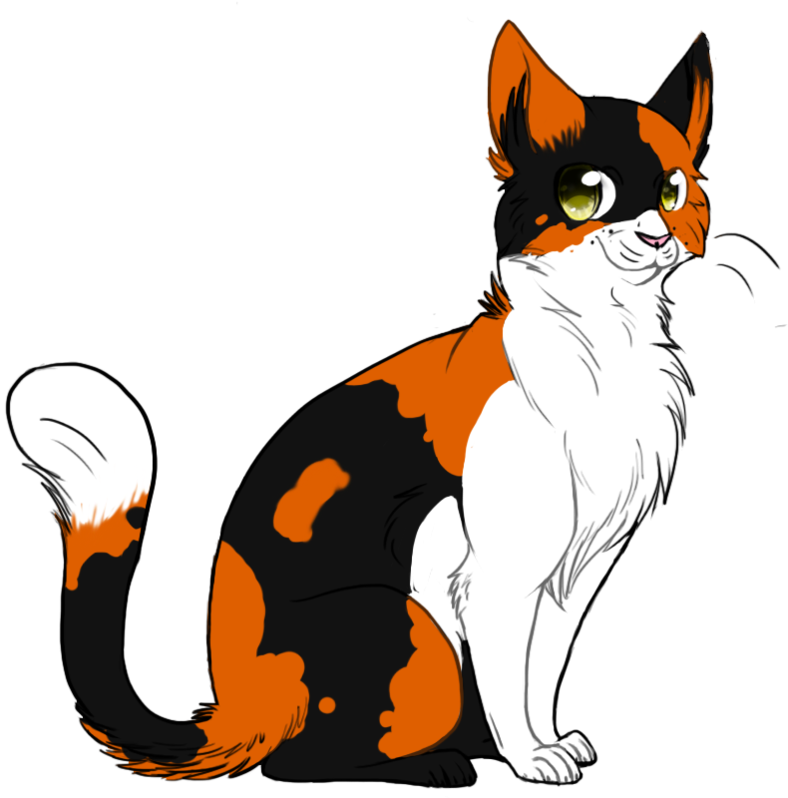 Tortoiseshell Cat Clipart , Png Download - Cat Drawing Png Transparent Png (788x798), Png Download
