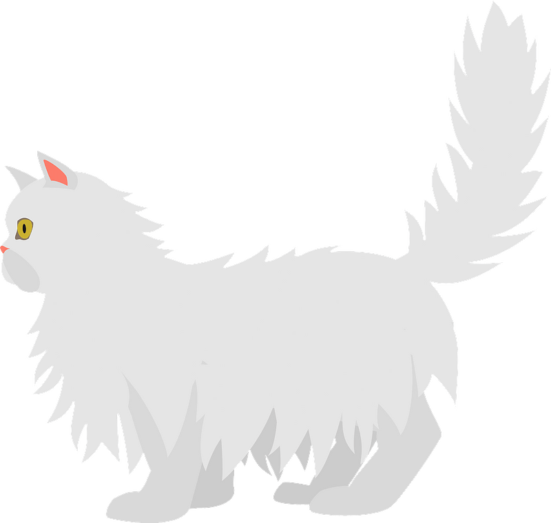 Persian Cat Clipart - Cat - Png Download (800x760), Png Download