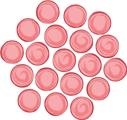 Circle Clipart (600x600), Png Download