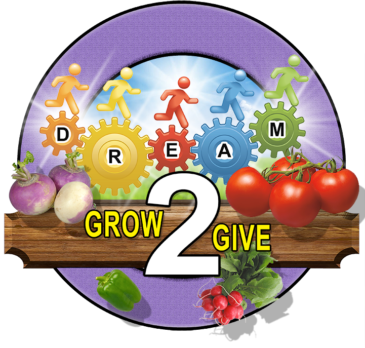 Cherry Tomatoes Clipart (720x720), Png Download