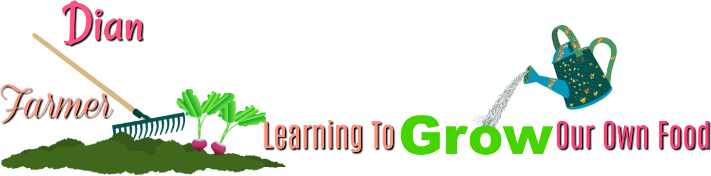 Clip Art - Png Download (1500x500), Png Download