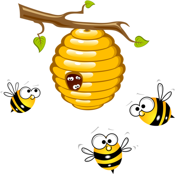Abeilles,png Honey Bees Clip Art Bees - Cartoon Honey Bee Drawing Transparent Png (600x577), Png Download