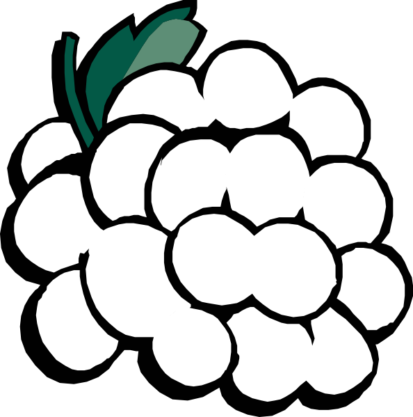 Grapes Black And White Clipar - Black And White Grape Clipart - Png Download (594x599), Png Download