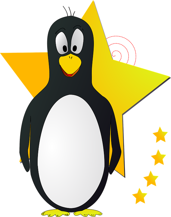 Penguin Clip Art - Png Download (505x640), Png Download