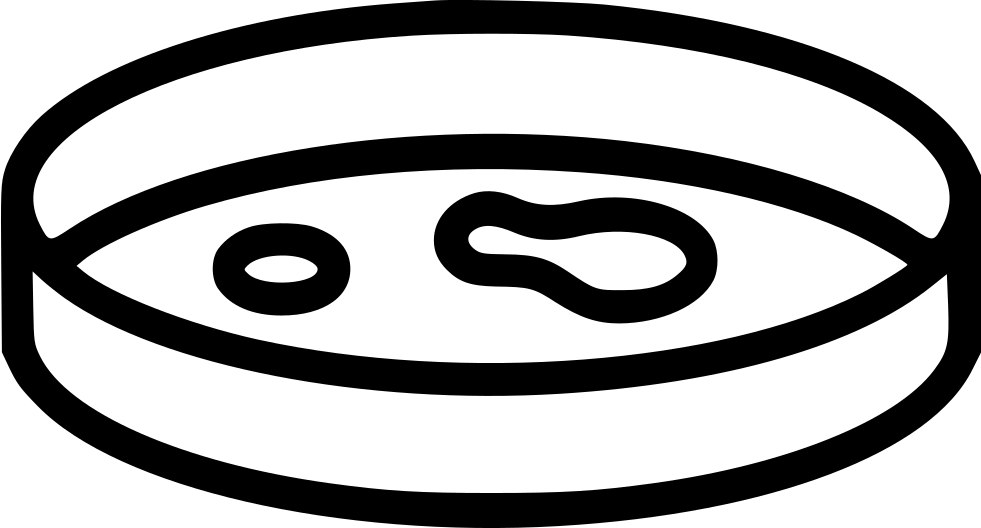 Petri Dish Clip Art - Us Steel Kosice Logo - Png Download (981x528), Png Download