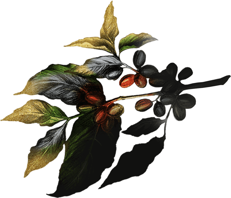 From The First Wake-up Cup Of The Morning To Our Desserts - Illustration Clipart (1127x797), Png Download