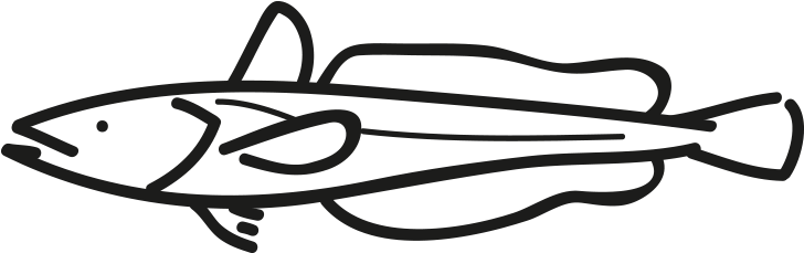 Cape Hake / South African Hake Clipart (796x500), Png Download