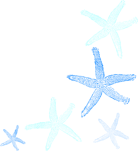 Starfish Prints Svg Clip Arts 546 X 595 Px - Png Download (546x595), Png Download