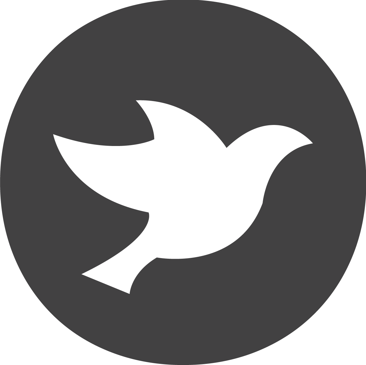 Plpa Webinar November - Star Icon Black And White Clipart (1251x1250), Png Download