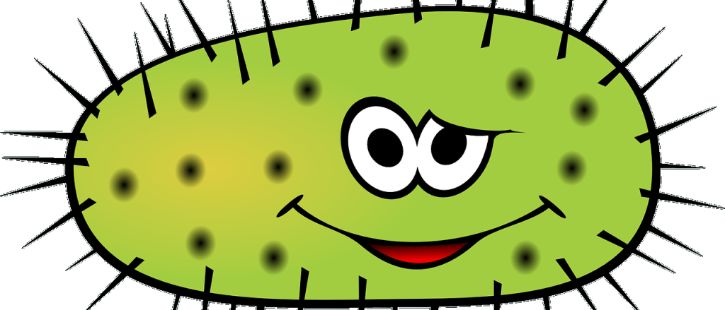 Bacteria Green - Bacteria Cartoon Clipart (1024x439), Png Download