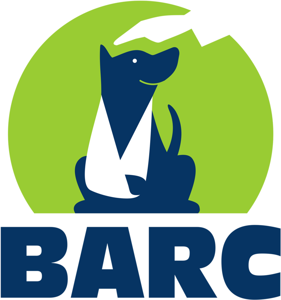 Barc - - Stock Illustration Clipart (1000x1044), Png Download