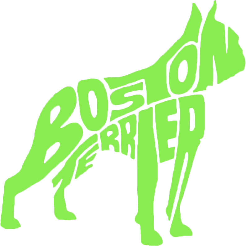 Boston Terrier - Dog Clipart (794x794), Png Download